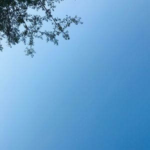 Meet your Posher, Eman